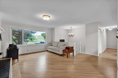 228 Nottingham Road Nw, Calgary, AB - Indoor Photo Showing Living Room