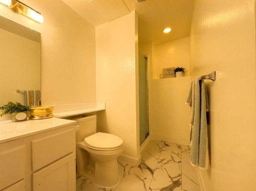 123 Sunmills Place Sw, Calgary, AB - Indoor Photo Showing Bathroom