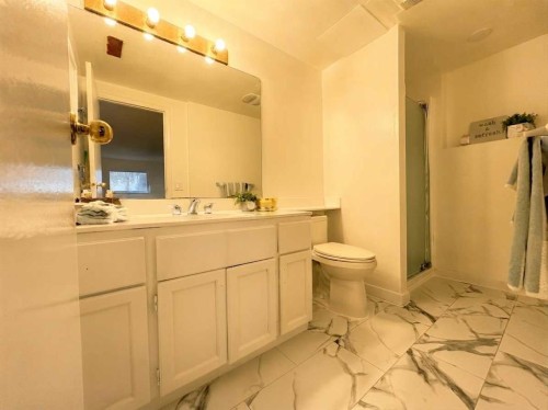 123 Sunmills Place Sw, Calgary, AB - Indoor Photo Showing Bathroom