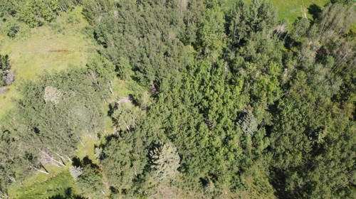 28 Elkstone Way, Rural Rocky View County, AB 