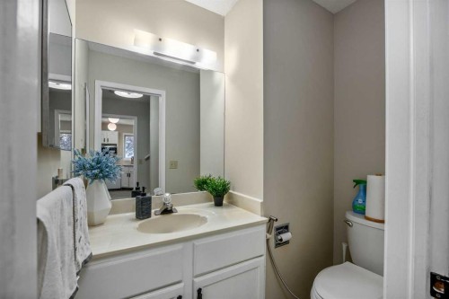 52 Shawnee Way Sw, Calgary, AB - Indoor Photo Showing Bathroom