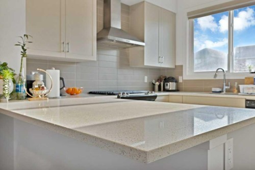 25 Savanna Manor Ne, Calgary, AB - Indoor Photo Showing Kitchen With Upgraded Kitchen