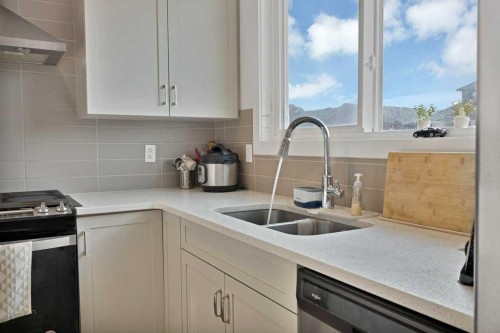 25 Savanna Manor Ne, Calgary, AB - Indoor Photo Showing Kitchen With Double Sink