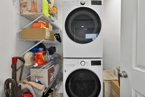 25 Savanna Manor Ne, Calgary, AB - Indoor Photo Showing Laundry Room