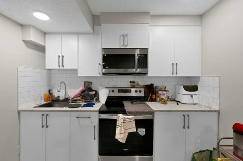 25 Savanna Manor Ne, Calgary, AB - Indoor Photo Showing Kitchen With Upgraded Kitchen