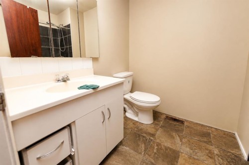 7 Dovercliffe Way Se, Calgary, AB - Indoor Photo Showing Bathroom
