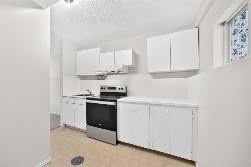 143 Applewood Drive Se, Calgary, AB - Indoor Photo Showing Kitchen