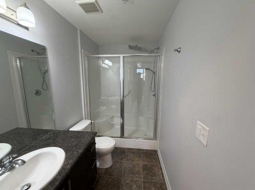219-117 Copperpond Common Se, Calgary, AB - Indoor Photo Showing Bathroom
