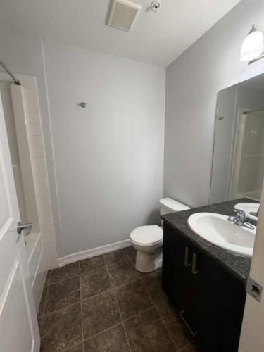 219-117 Copperpond Common Se, Calgary, AB - Indoor Photo Showing Bathroom