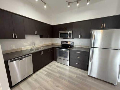219-117 Copperpond Common Se, Calgary, AB - Indoor Photo Showing Kitchen With Double Sink
