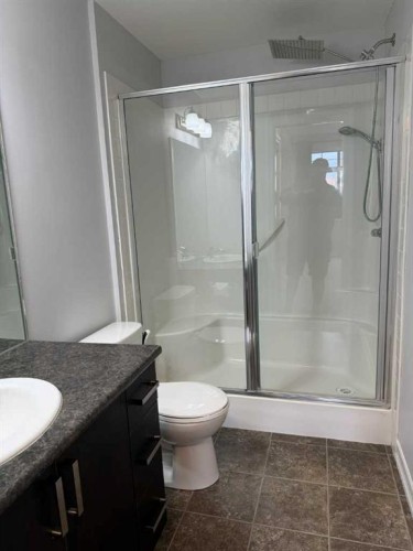 219-117 Copperpond Common Se, Calgary, AB - Indoor Photo Showing Bathroom