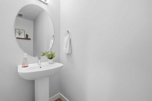 535 Canals Crossing Sw, Airdrie, AB - Indoor Photo Showing Bathroom