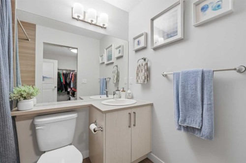 535 Canals Crossing Sw, Airdrie, AB - Indoor Photo Showing Bathroom