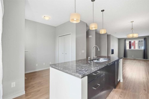 209 Copperpond Row Se, Calgary, AB - Indoor Photo Showing Kitchen With Upgraded Kitchen