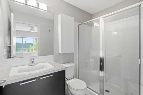 209 Copperpond Row Se, Calgary, AB - Indoor Photo Showing Bathroom
