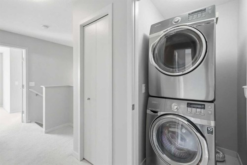 209 Copperpond Row Se, Calgary, AB - Indoor Photo Showing Laundry Room