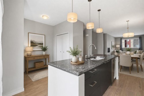 209 Copperpond Row Se, Calgary, AB - Indoor Photo Showing Kitchen With Double Sink With Upgraded Kitchen