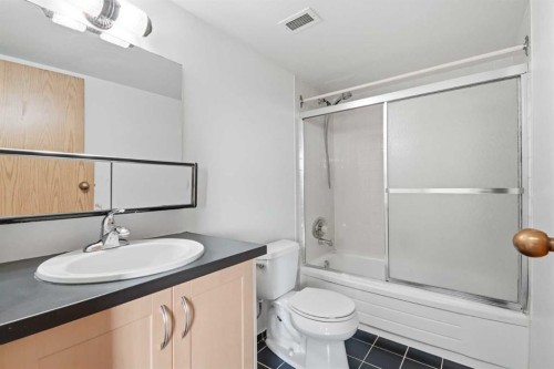 710-8604 48 Avenue Nw, Calgary, AB - Indoor Photo Showing Bathroom