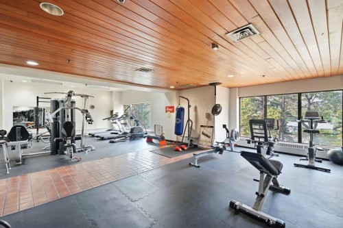 710-8604 48 Avenue Nw, Calgary, AB - Indoor Photo Showing Gym Room
