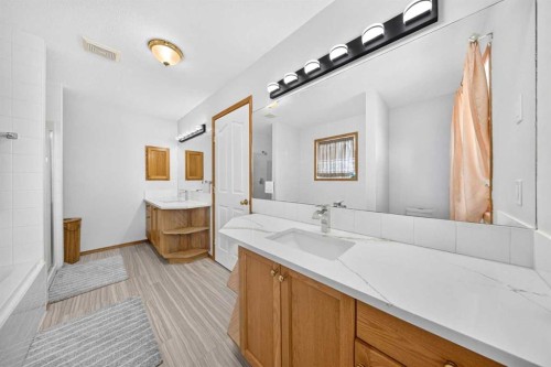 125 Tarawood Place Ne, Calgary, AB - Indoor Photo Showing Bathroom