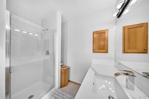 125 Tarawood Place Ne, Calgary, AB - Indoor Photo Showing Bathroom