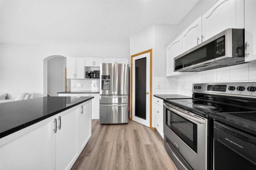 125 Tarawood Place Ne, Calgary, AB - Indoor Photo Showing Kitchen With Stainless Steel Kitchen With Upgraded Kitchen
