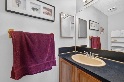 36 Templegreen Bay Ne, Calgary, AB - Indoor Photo Showing Bathroom