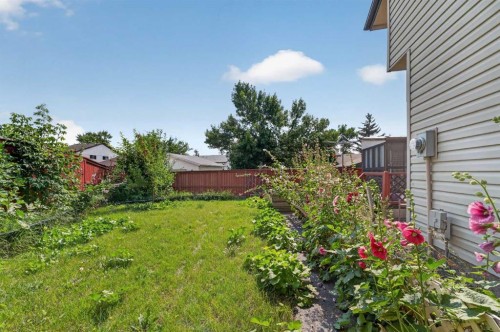 36 Templegreen Bay Ne, Calgary, AB - Outdoor