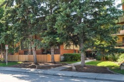 209-1919 36 Street SW Calgary, AB T3E 2Y8