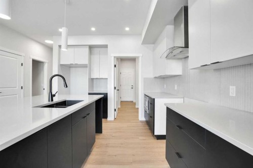 68 Sugarsnap Green Se, Calgary, AB - Indoor Photo Showing Kitchen With Double Sink With Upgraded Kitchen