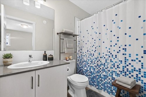 246 Cranbrook Square Se, Calgary, AB - Indoor Photo Showing Bathroom