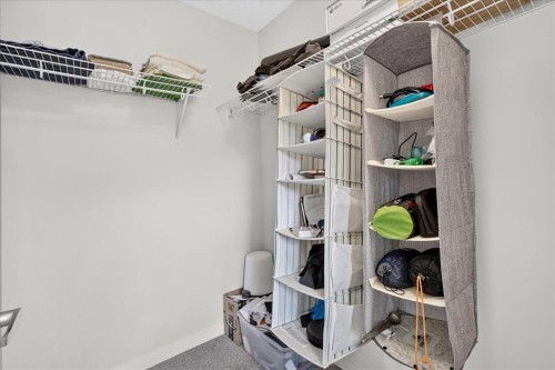 246 Cranbrook Square Se, Calgary, AB - Indoor With Storage