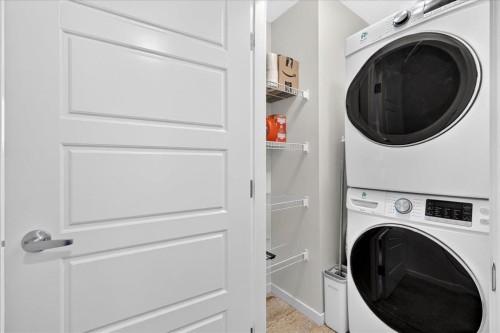 246 Cranbrook Square Se, Calgary, AB - Indoor Photo Showing Laundry Room
