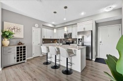 402-6603 New Brighton Avenue SE Calgary, AB T2Z 5E5