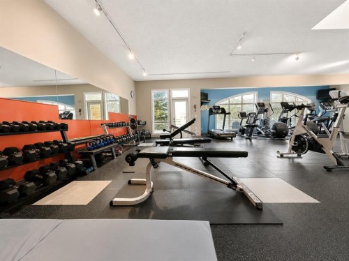 7305-14 Hemlock Crescent Sw, Calgary, AB - Indoor Photo Showing Gym Room