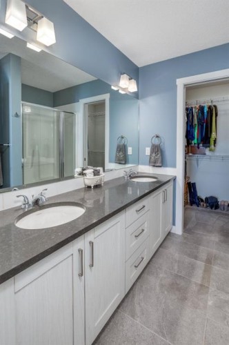 258 Copperleaf Way Se, Calgary, AB - Indoor Photo Showing Bathroom