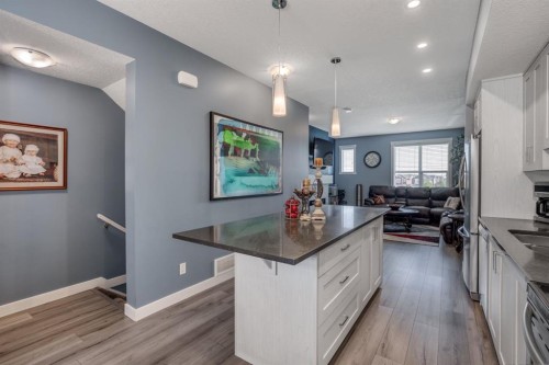 258 Copperleaf Way Se, Calgary, AB - Indoor Photo Showing Kitchen With Upgraded Kitchen