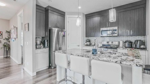 435 Savanna Boulevard Ne, Calgary, AB - Indoor Photo Showing Kitchen With Upgraded Kitchen