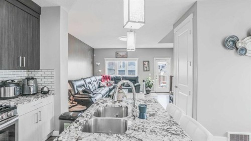 435 Savanna Boulevard Ne, Calgary, AB - Indoor Photo Showing Kitchen With Double Sink With Upgraded Kitchen