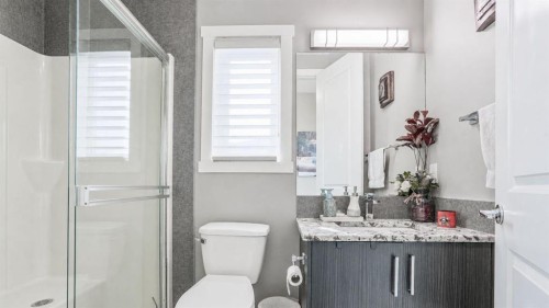435 Savanna Boulevard Ne, Calgary, AB - Indoor Photo Showing Bathroom