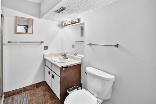 91 Castleridge Crescent Ne, Calgary, AB - Indoor Photo Showing Bathroom