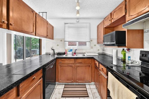 91 Castleridge Crescent Ne, Calgary, AB - Indoor Photo Showing Kitchen With Double Sink