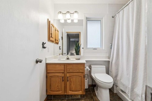 190 Mt Robson Close Se, Calgary, AB - Indoor Photo Showing Bathroom