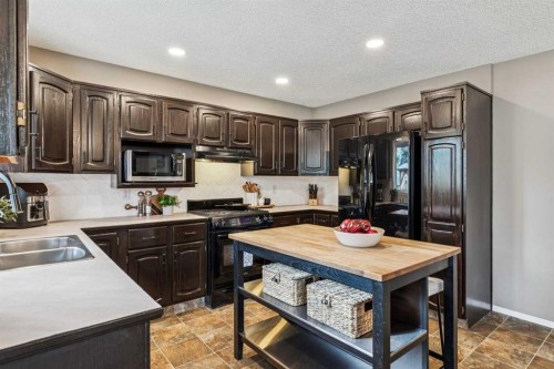 190 Mt Robson Close Se, Calgary, AB - Indoor Photo Showing Kitchen With Double Sink