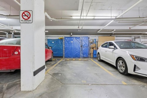 5105-155 Skyview Ranch Way Ne, Calgary, AB - Indoor Photo Showing Garage