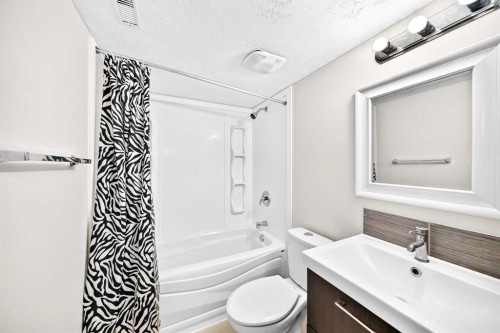 6934 Laguna Way Ne, Calgary, AB - Indoor Photo Showing Bathroom