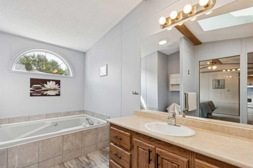25 Erin Woods Circle Se, Calgary, AB - Indoor Photo Showing Bathroom