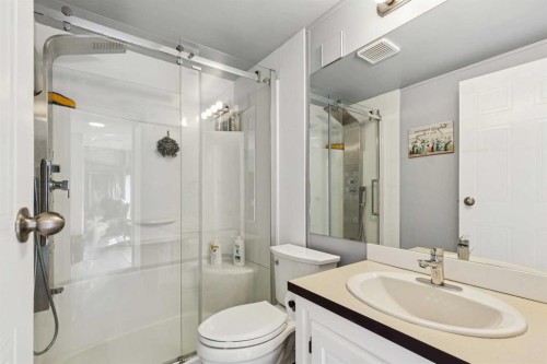 25 Erin Woods Circle Se, Calgary, AB - Indoor Photo Showing Bathroom