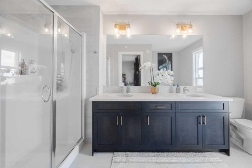 44 Calhoun Common Ne, Calgary, AB - Indoor Photo Showing Bathroom