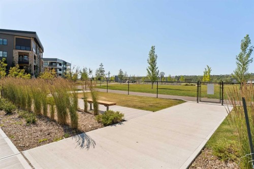 218-55 Wolf Hollow Crescent Se, Calgary, AB 